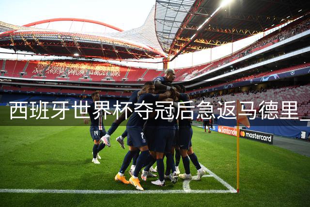 西班牙世界杯夺冠后急返马德里 千镑红酒庆功开启冠军之旅